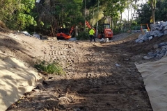 Gully Restoration | Swan Avenue