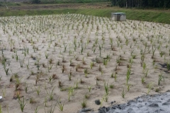 Noosa Landfill Biobasin