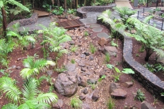 Mary Cairncross Rainforest Discovery Centre